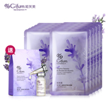 F.A2.12.003-Lavender. Lavender.sweet dream gift set